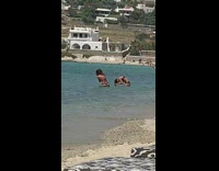 Woman wet hair flip pose beach