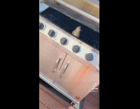 Collab Clips MPUGC - Woman sees rat on her griller 