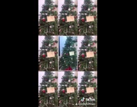 Two dogs wearing christmas clothes dance 