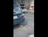 White car with cleaning products and dead dummy