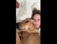 Collab Clips MPUGC - Dog got excited hearing word breakfast 