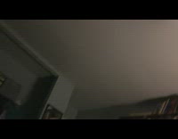 Bat stuck fly inside guy room bookshelf