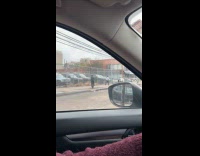 Collab winy - Man chases escaped cow running on street 