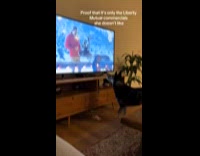 Dog watches TV hates Liberty Mutual Commercial