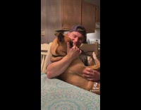 Husky boxer dog being held by guy whining