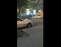 SUV crashed over grass 