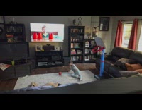 Five year old does dunk on living room basket