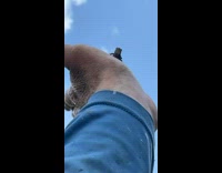 Small frog jump from hand to shoulder