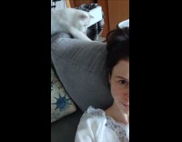 Cat nibbling on hoomans hair 