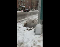 Birds by steam coming out of vent 