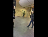 man on brick wall platform harry potter