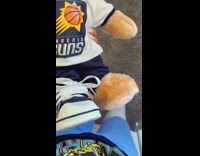 Boyfriend gives girl build a bear shoe artificial leg 