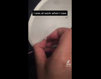 Collab BitchMP - Guy finds gnome behind white cover bathroom