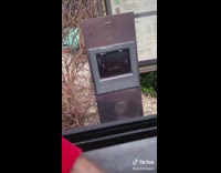 Collab VIBES - Starbucks employee asks guy not to film 