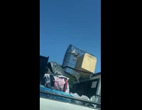Collab WINY - Birds inside a cage on the back of a moving white pickup car