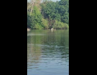 Everyone rows boats backwards on river
