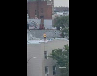 Person lifts dumbbells on rooftop edge