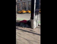 Guy does karaoke behind link screen sidewalk