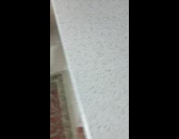 Black cat falls off kitchen counter microwave 