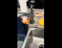 Cat bites holes in water bottles 