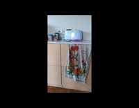 Woman films her toasts for a year 