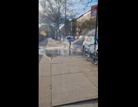 Collab winy - Car get free carwash from broken fire hydrant