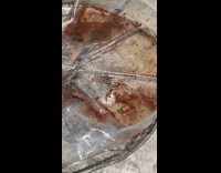 Spider build web nest on plastic tray