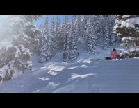 Guy on skis lands head first 