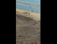 Group of women dances at the beach