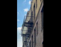 Racoons on the 5th floor fire escape