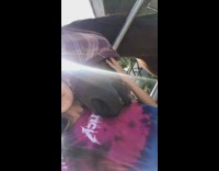 Girl pets brown horse gets bit 