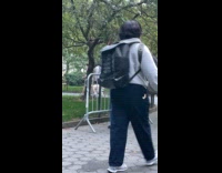 Man eating leaves from tree at park