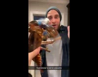 Girl chases boy with live lobster