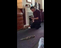 Dad tries to get photo of puppy