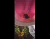 Woman makes matching cowboy hats for cat 