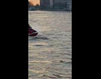 Guy dressed like joker rides jet ski 