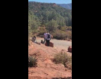 Cat sit meow on large rock mountain