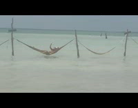 Four people on hammocks in water take selfies and pictures