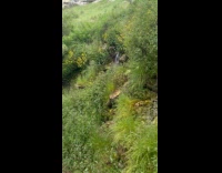 Submitter films amazing bunch of  Wyoming waterfalls 