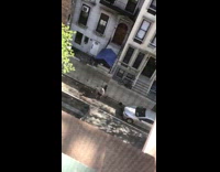 Black shorts guy lifts weights sidewalk 