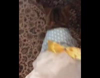 Cat wears blue white polka dot dress 