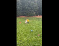 Kid hits brother with bucket