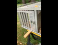 Guy slams door on dogs face 