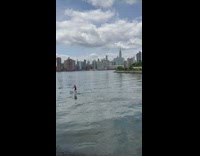 Person paddle boards in river 