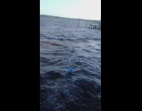 Blue balloon float away on lake water