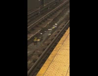 Yellow black Nike sneaker and personal hygiene products thrown on subway train tracks