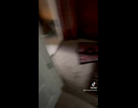 Collab BitchMP - Man hears weird sound 