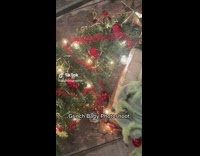 Asleep Baby in Grinch Costume Have a Photoshoot