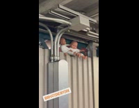 Two dolls hang on subway or street in NYC 