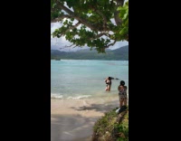 Woman black swimsuit side pose beach tree